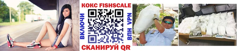 КОКАИН Fish Scale  Купить где  Бежецк 
