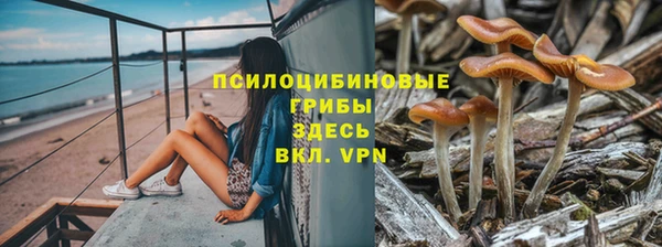марки lsd Беломорск