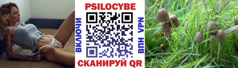 Купить Бежецк Псилоцибиновые грибы мицелий